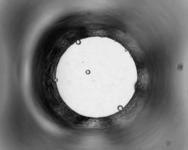 X0000103930764200810101353