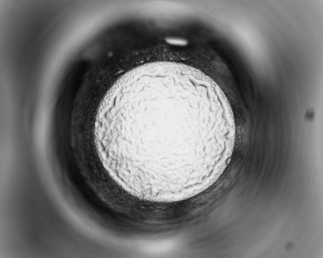 X0000103930765200810101353