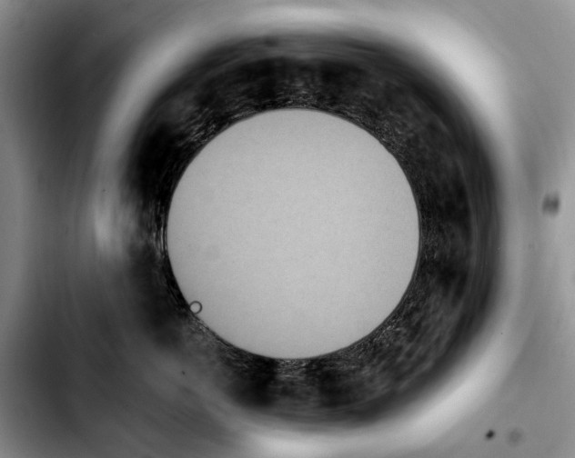 X0000103930766200810101353