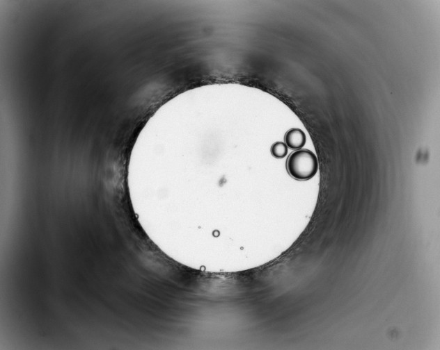 X0000103930768200810101353