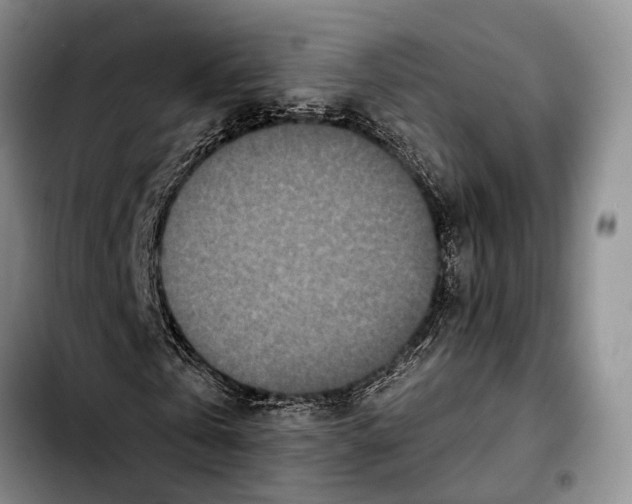 X0000103930769200810101352