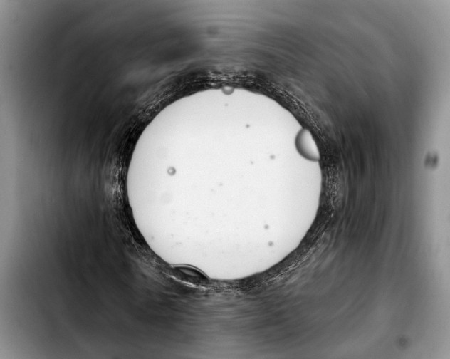 X0000103930770200810101352