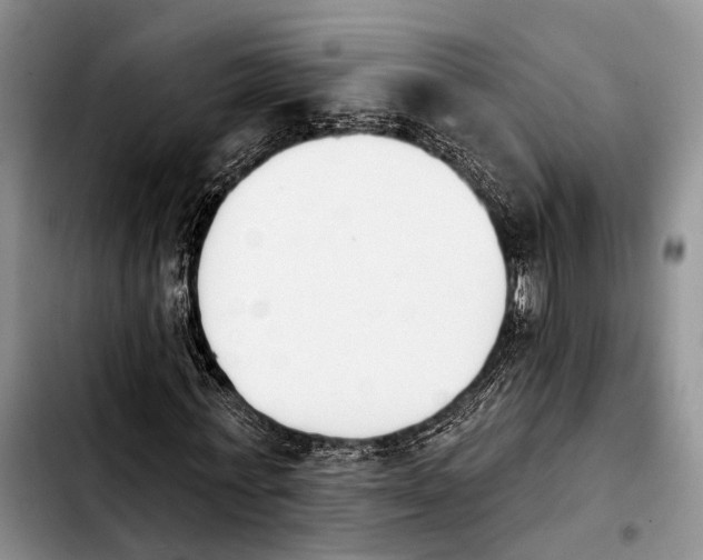 X0000103930771200810101352