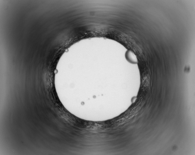 X0000103930772200810101352