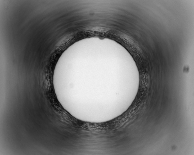 X0000103930774200810101352