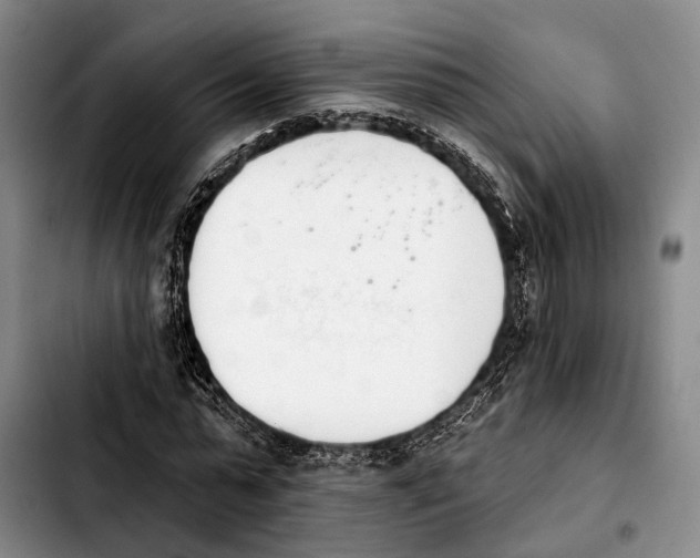 X0000103930775200810101352