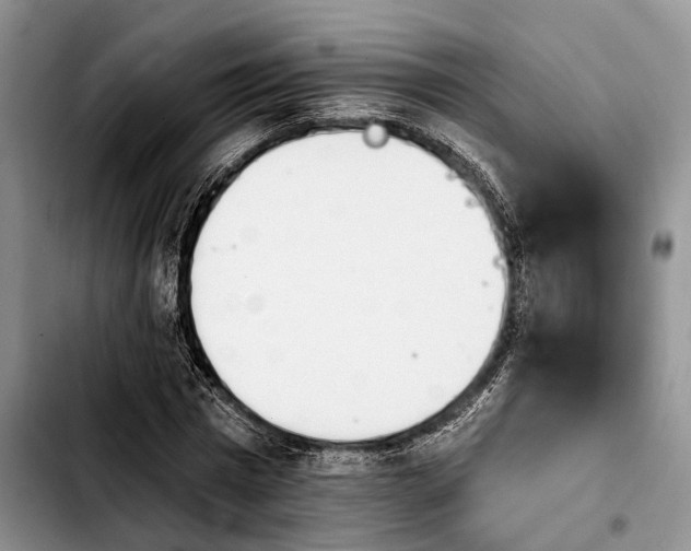 X0000103930777200810101352