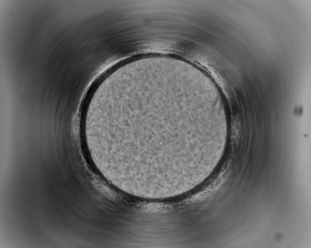 X0000103930779200810101352