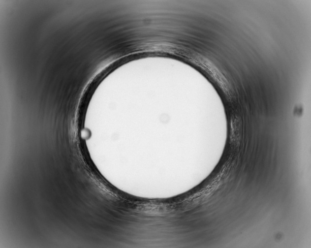 X0000103930780200810101352