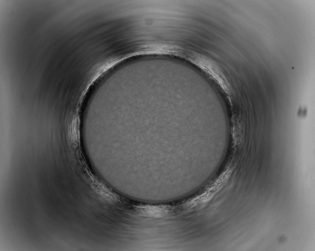 X0000103930781200810101352