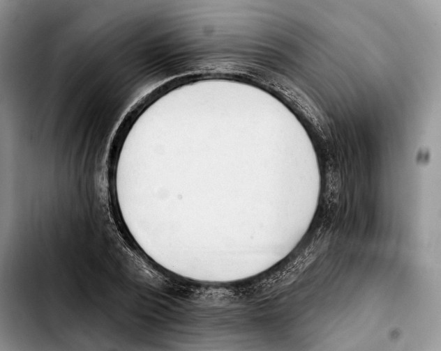 X0000103930784200810101352