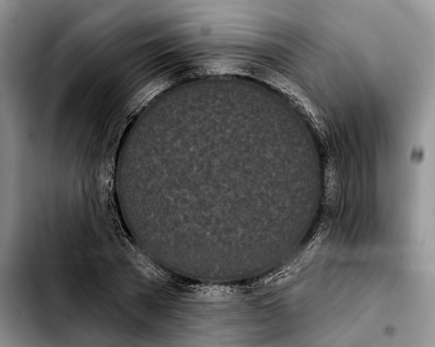 X0000103930785200810101352