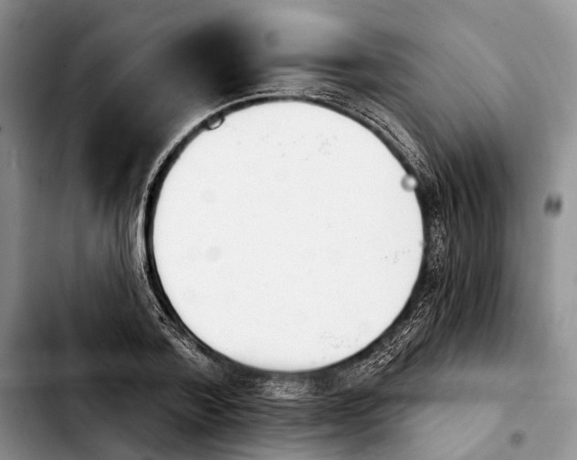 X0000103930788200810101352