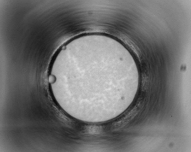 X0000103930789200810101352