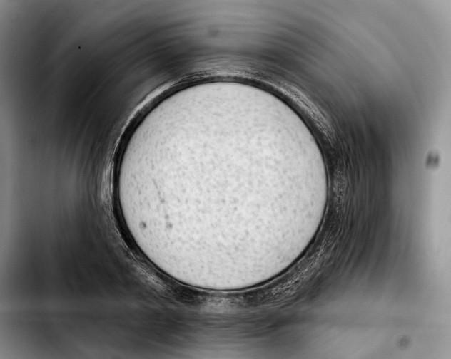 X0000103930790200810101352