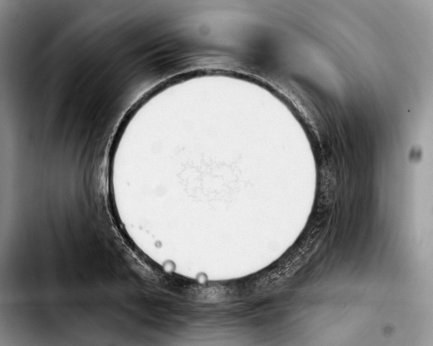 X0000103930791200810101352