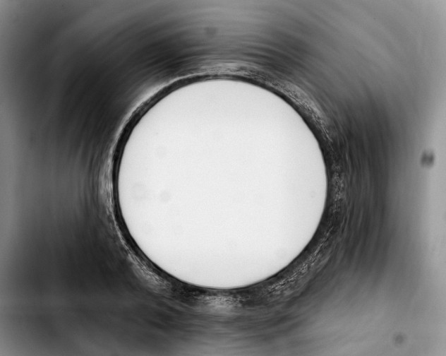 X0000103930792200810101352