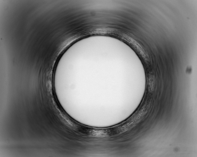 X0000103930794200810101352