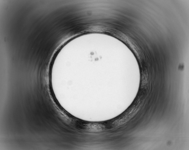 X0000103930795200810101352