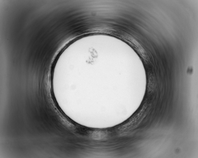 X0000103930796200810101352