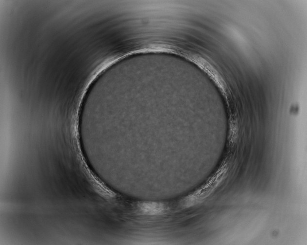 X0000103930797200810101352