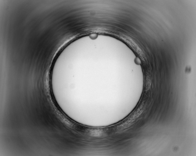 X0000103930798200810101352