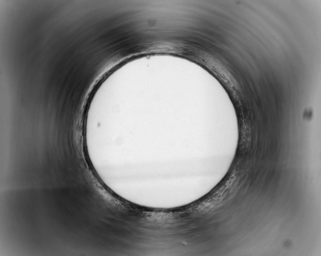 X0000103930800200810101352