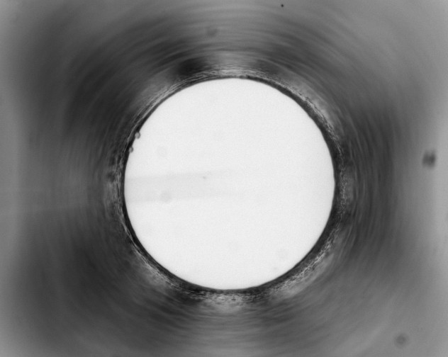 X0000103930801200810101352