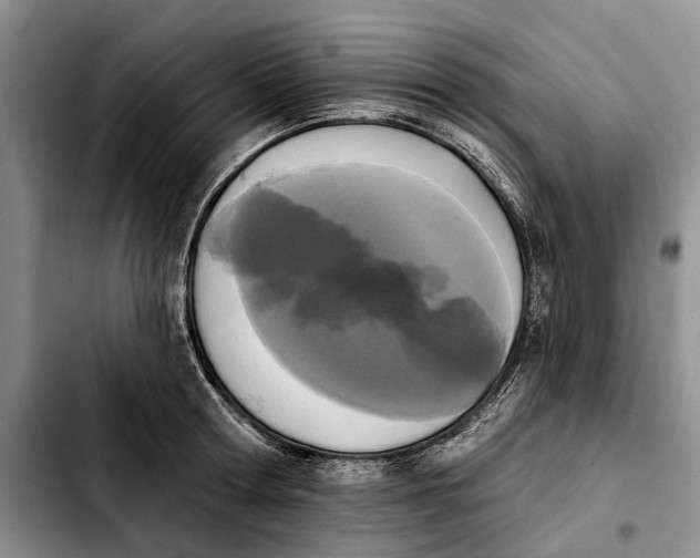 X0000103930802200810101352