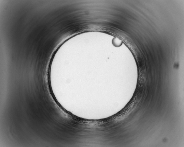 X0000103930803200810101352