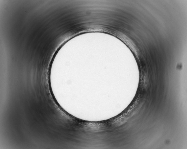 X0000103930805200810101352