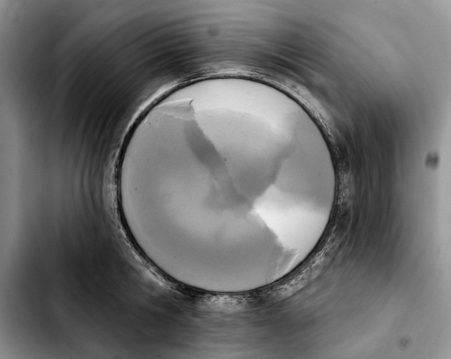 X0000103930806200810101352