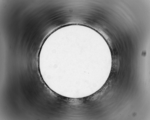 X0000103930807200810101352