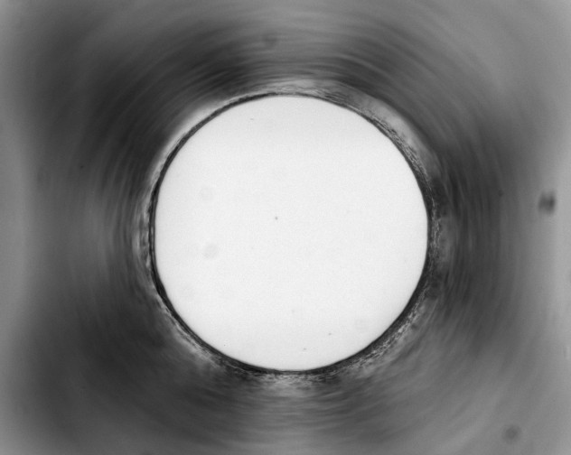 X0000103930808200810101352