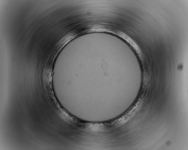 X0000103930809200810101352