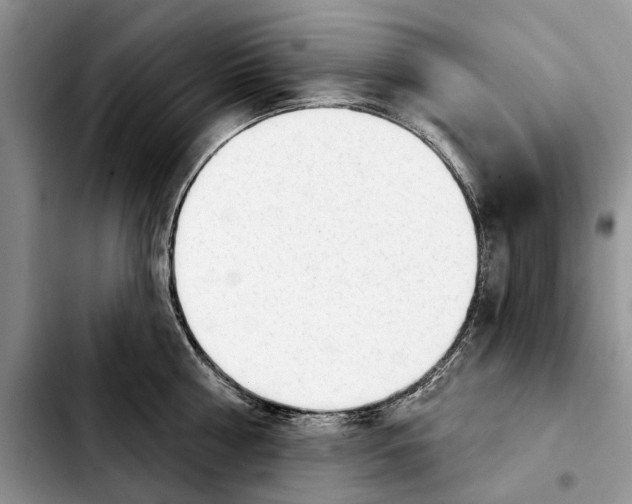 X0000103930810200810101352