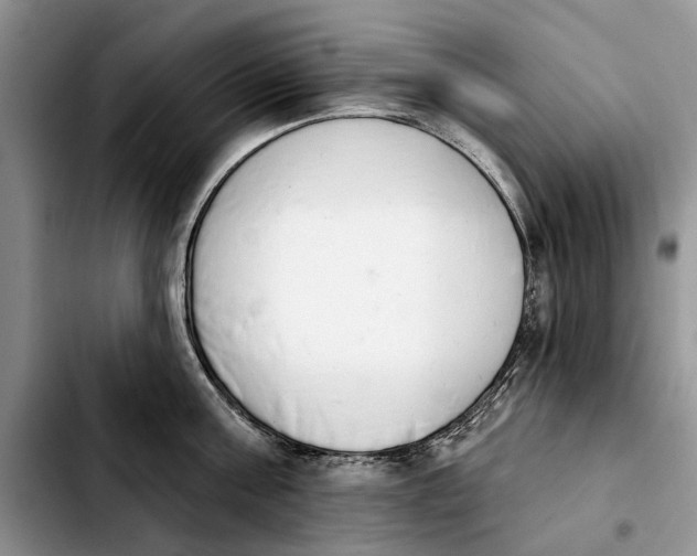 X0000103930811200810101352