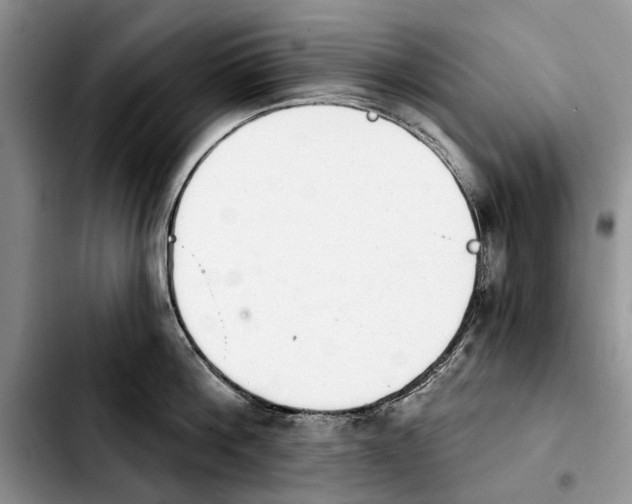 X0000103930812200810101352