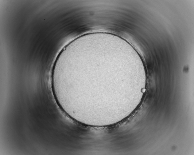 X0000103930813200810101352