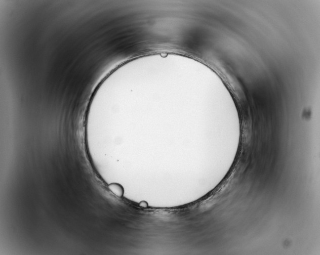 X0000103930814200810101352