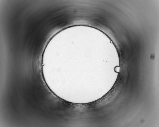 X0000103930815200810101352