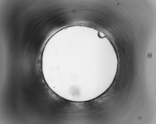 X0000103930816200810101352