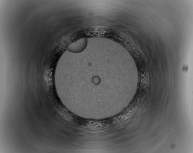 X0000103930818200810101351