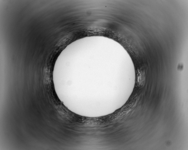 X0000103930819200810101351