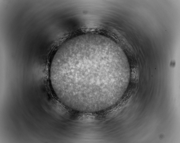 X0000103930820200810101351