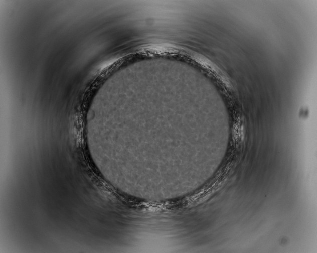 X0000103930822200810101351