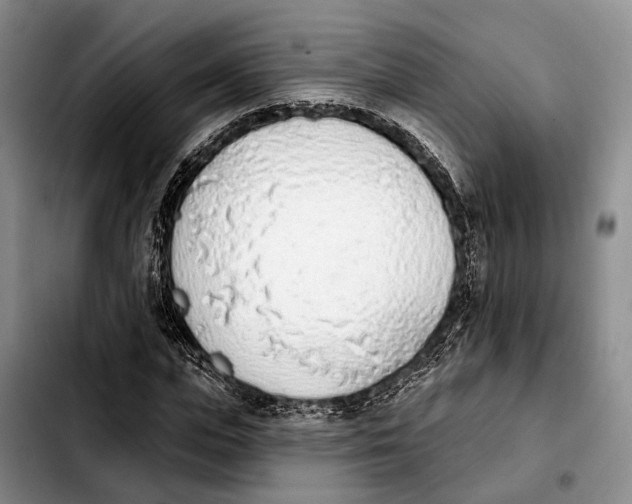 X0000103930823200810101351