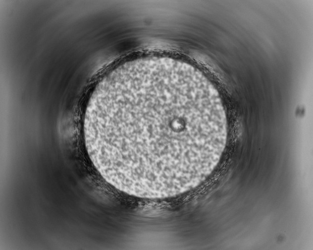 X0000103930824200810101351