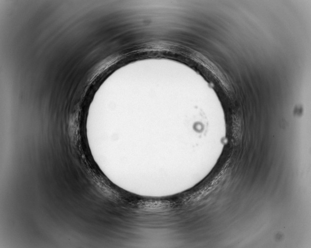 X0000103930826200810101351