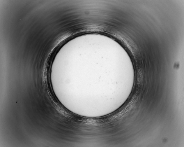 X0000103930827200810101351